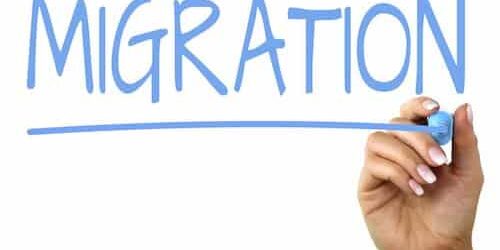 Website Migration