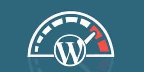 Wordpress Speed Optimization